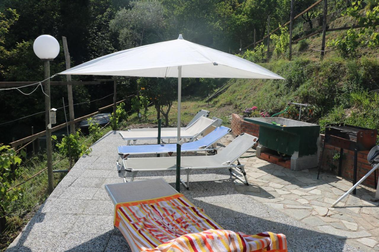 Villa Maremonti - Con 3 Piscine Sestri Levante Eksteriør billede